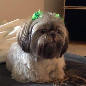 Meet your Posher, Angela